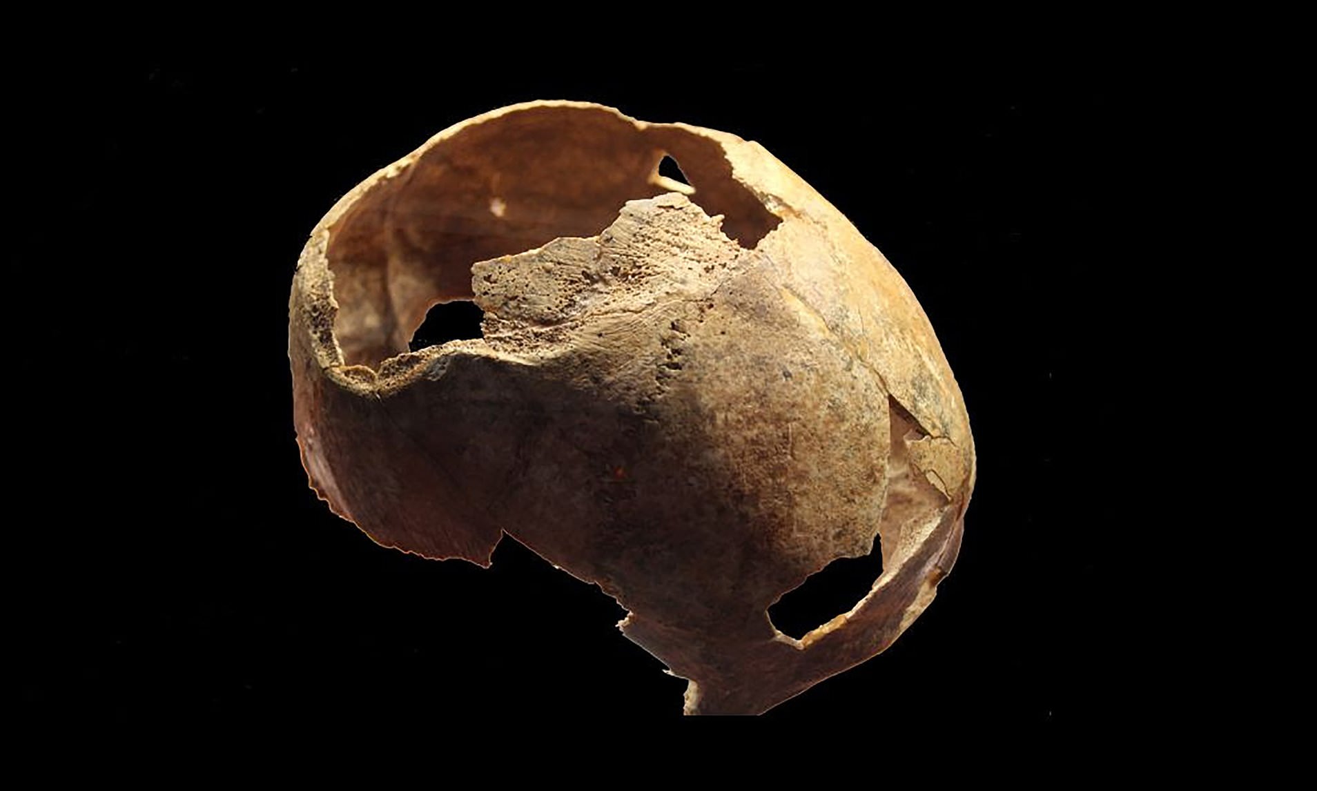 Skull found in Crimea