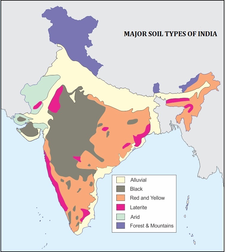 Major Soils Types in India