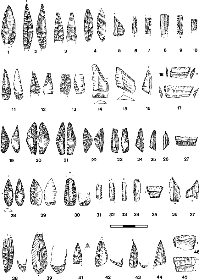Mesolithic Age Tools