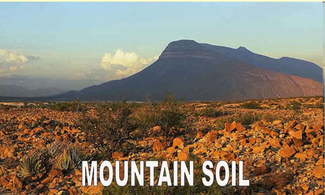 Mountain Soil