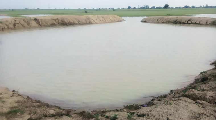 Pond for Rainwater harvesting
