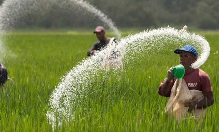 Representational Image, Land reforms