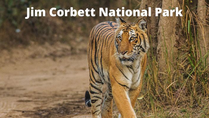 Jim Corbett National Park | Free UPSC Material